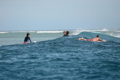 DSC_9879.JPG
