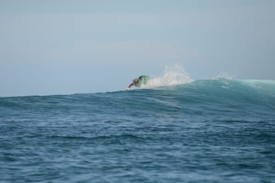 DSC_9881.JPG