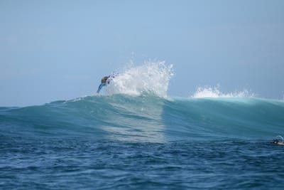 DSC_9886.JPG