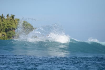 DSC_9888.JPG
