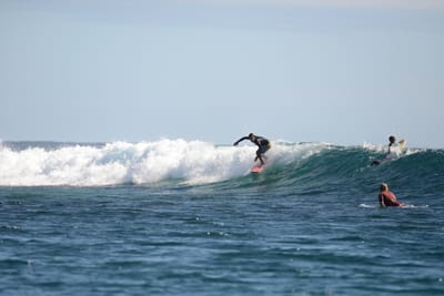 DSC_9892.JPG