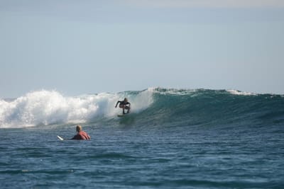 DSC_9902.JPG