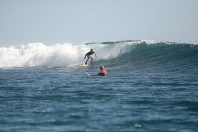 DSC_9903.JPG