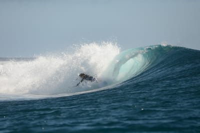 DSC_9917.JPG