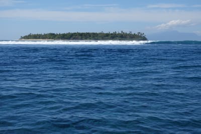 DSC04145.JPG