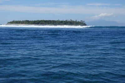 DSC04146.JPG