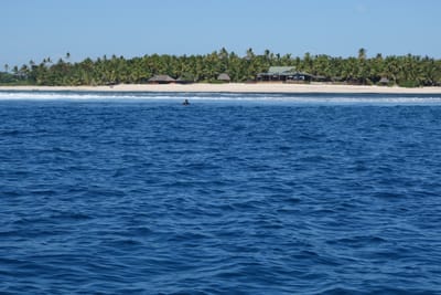DSC04153.JPG