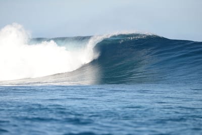 DSC_9511.JPG