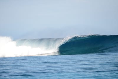 DSC_9548.JPG