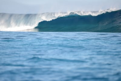 DSC_9550.JPG