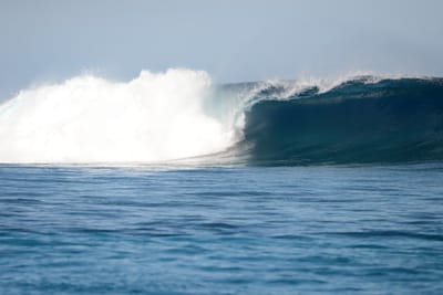 DSC_9553.JPG