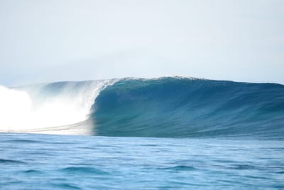 DSC_9554.JPG