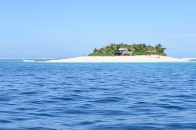 DSC_9558.JPG