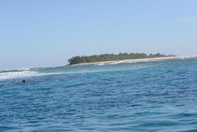 DSC_9746.JPG
