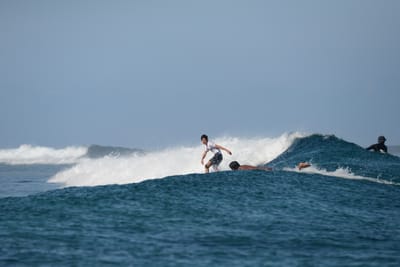 DSC_0212.JPG