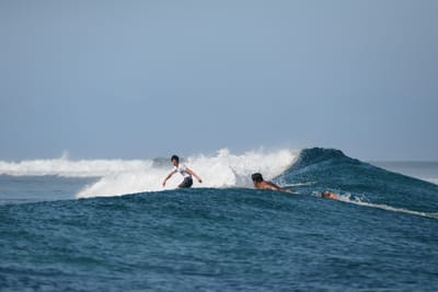 DSC_0213.JPG