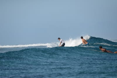 DSC_0214.JPG