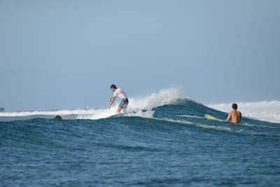 DSC_0217.JPG