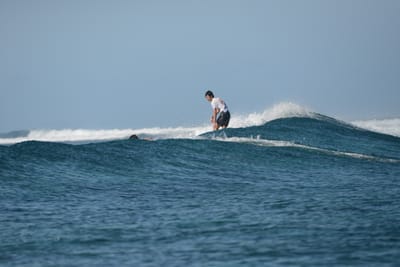 DSC_0219.JPG
