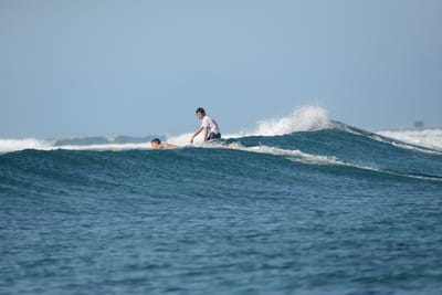 DSC_0220.JPG
