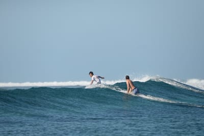 DSC_0222.JPG