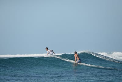 DSC_0223.JPG