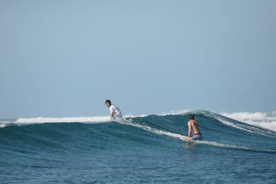 DSC_0224.JPG