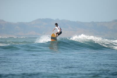DSC_0242.JPG