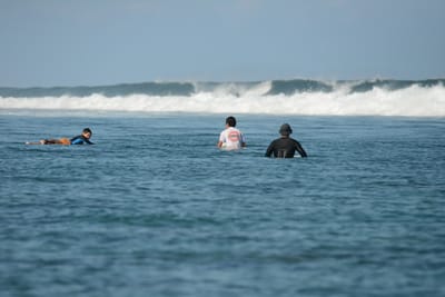 DSC_0263.JPG