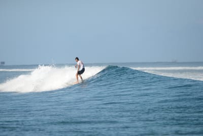 DSC_0345.JPG
