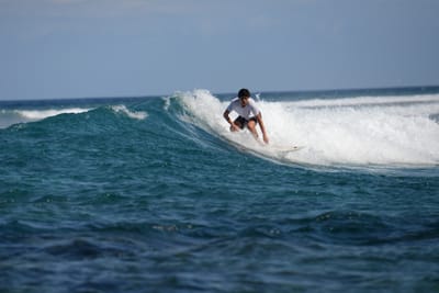 DSC_0829.JPG
