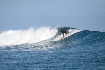 DSC_0191.JPG