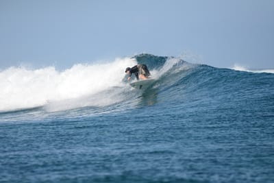 DSC_0198.JPG
