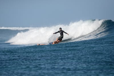 DSC_0202.JPG
