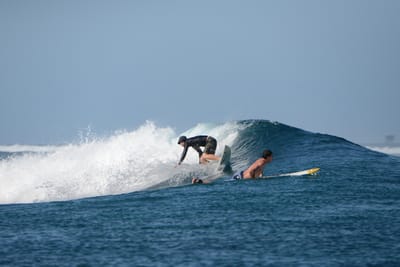 DSC_0204.JPG