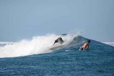 DSC_0206.JPG