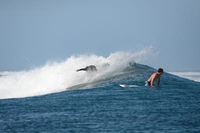 DSC_0207.JPG