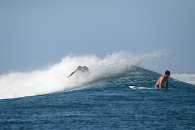 DSC_0208.JPG