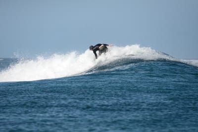 DSC_0209.JPG