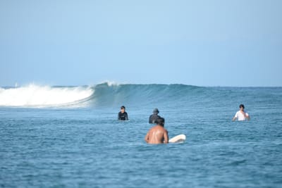 DSC_0210.JPG
