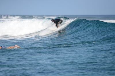 DSC_0264.JPG