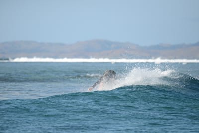 DSC_0271.JPG