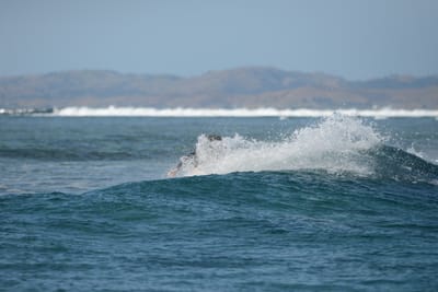 DSC_0272.JPG