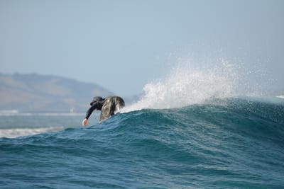 DSC_0378.JPG