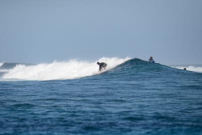 DSC_0414.JPG