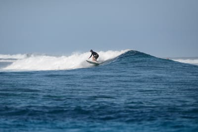 DSC_0415.JPG