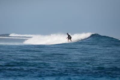 DSC_0416.JPG