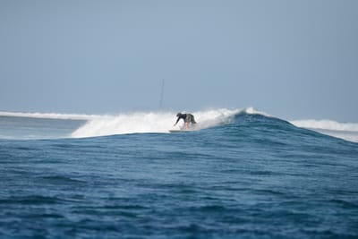 DSC_0417.JPG