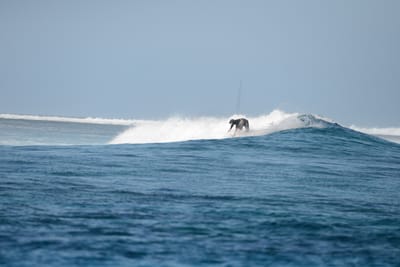 DSC_0418.JPG
