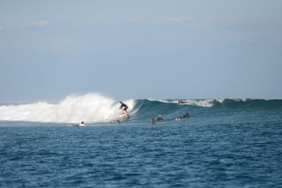 DSC_0537.JPG